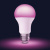 Лампа светодиодная Xiaomi Mijia Philips Color Light Bulb