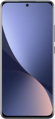 Xiaomi 12X Gray